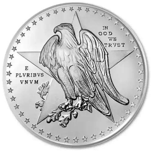 1 Troy oz Remember The Alamo Silver Texas Star State In Capsule