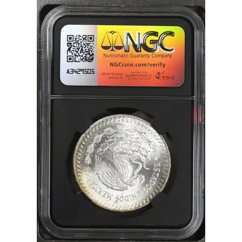 1983Mo Silver (3)