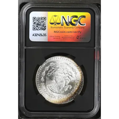 1983Mo Silver (3)