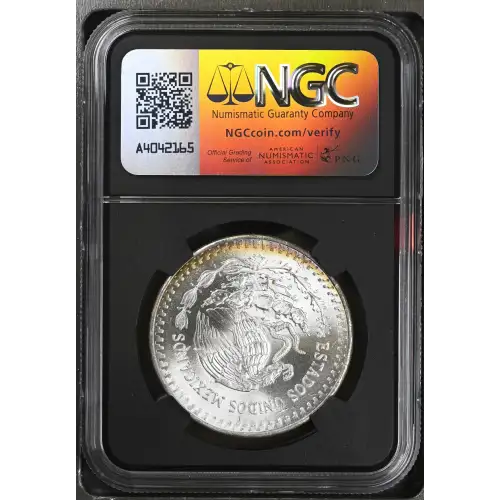 1983Mo Silver (3)