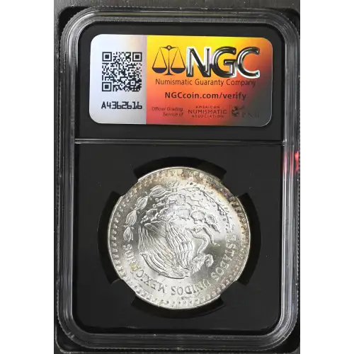 1983Mo Silver (3)