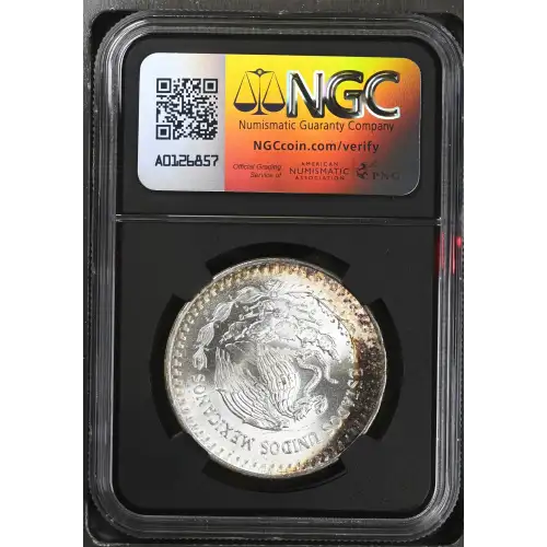 1983Mo Silver (3)
