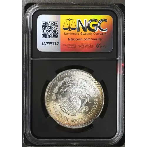 1983Mo Silver (3)