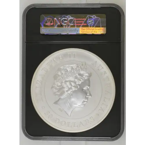 1Kilo Koala Silver Coin - Australia $30 (2)