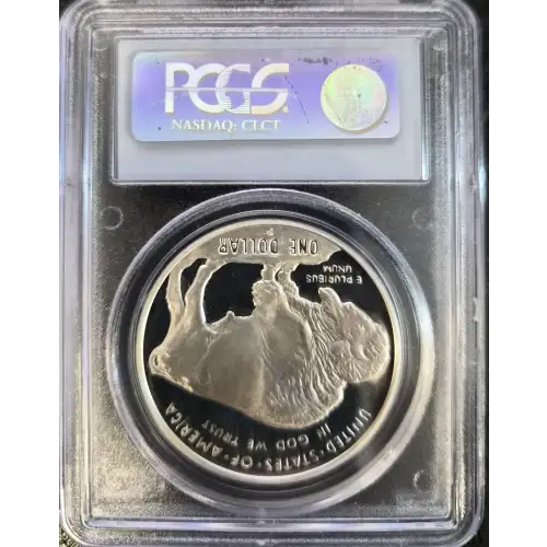 2001-P $1 Buffalo, DCAM