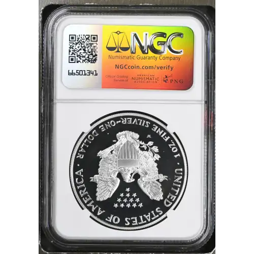 2001 W  ULTRA CAMEO (3)
