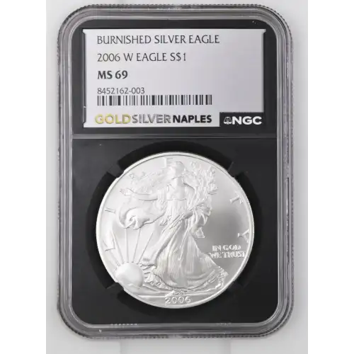 2006 W BURNISHED SILVER EAGLE (2)