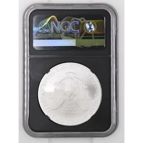 2006 W BURNISHED SILVER EAGLE (3)
