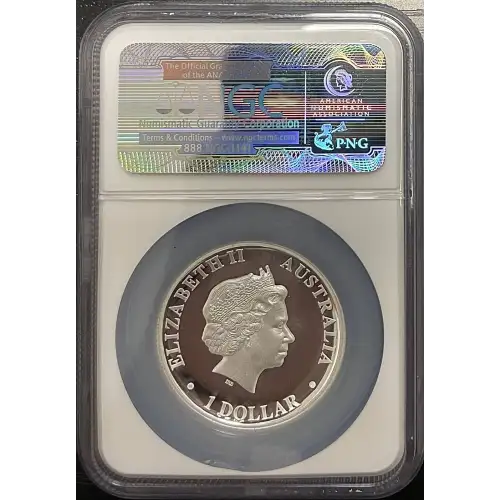2010P Kangaroo - High Relief ULTRA CAMEO (2)