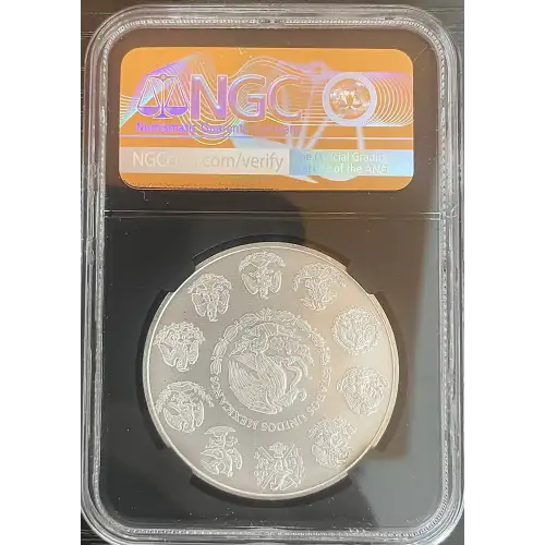 2013 - Mexico 1 Onza Libertad - 1oz Silver - MS69 (Storage 11A) (4)