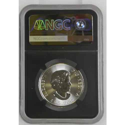 2018 - 0.5oz Polar Bear Silver Coin - Canada S$2 - NGC MS69 (D12-B13) (2)