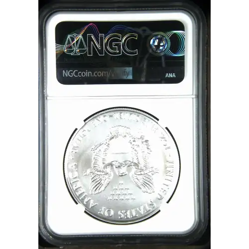 2020 - 1oz Burnished Silver Eagle - First Releases S$1 NGC MS69 (D10-B30) (2)