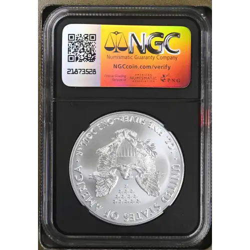 2020 - 1oz Silver Eagle S$1 NGC MS 9.9 (D10-B27)