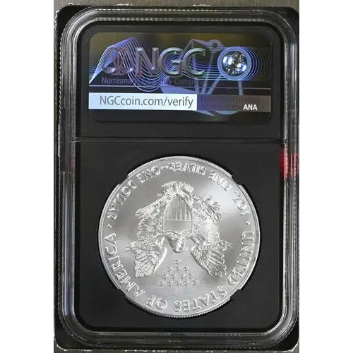 2020 - 1oz Silver Eagle S$1 NGC MS70 (D10-B26) (2)