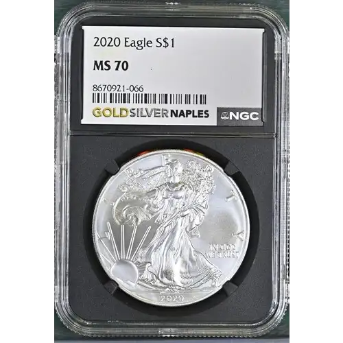 2020 - 1oz Silver Eagle S$1 NGC MS70 (D11-B3)