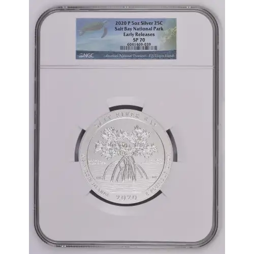 2020P - 5oz America the Beautiful Salt Bay Silver Quarter - NGC ER SP70 (D-14)