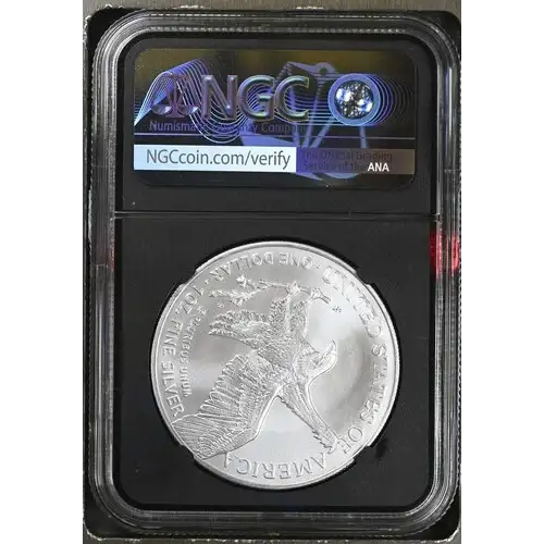 2022 - 1oz Silver Eagle - S$1 NGC MS70 (D10-B37) (2)