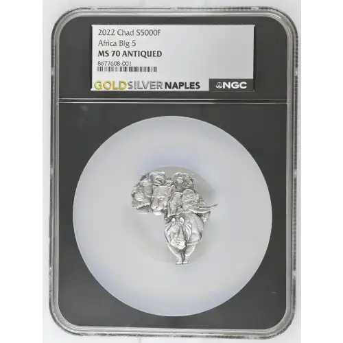 2022 Chad S5000f Africa Big 5 MS70 Antiqued (OB-126)