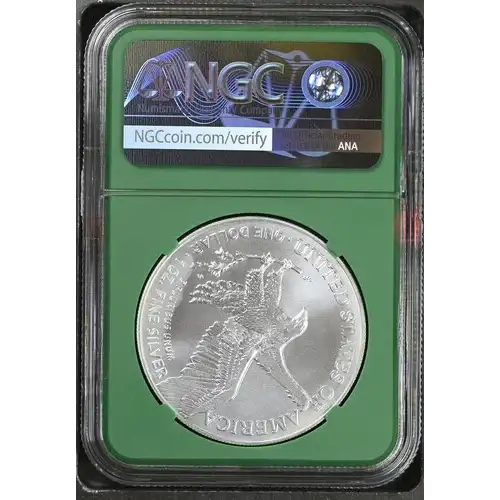 2024 - 1oz Silver Eagle - From US Mint Sealed Box - NGC MS70 (D10-B32) (2)