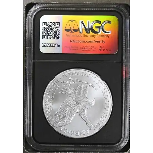 2024 - 1oz Silver Eagle - NGC MS 9.9 (D10-B1) (2)