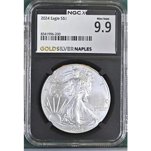 2024 - 1oz Silver Eagle - NGC MS 9.9 (D10-B1)