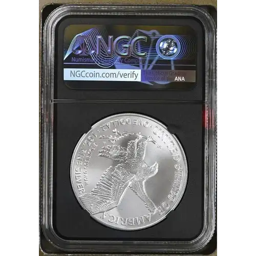 2024 - 1oz Silver Eagle S$1 NGC GEM UNCIRCULATED (D10-B33)  (2)