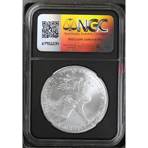 2024(P) - 1oz Silver Eagle S$1 Star Privy NGC MS69 (D10-B1) (2)