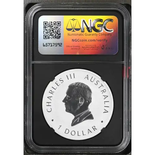 2024 P125 - 1oz Koala Panda Privy Silver - Australia S$1 - NGC MS70 (D11-B23) (2)