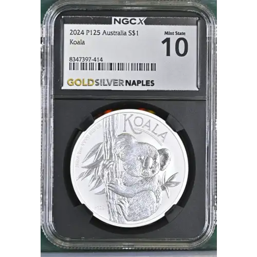 2024 P125 Koala (2)