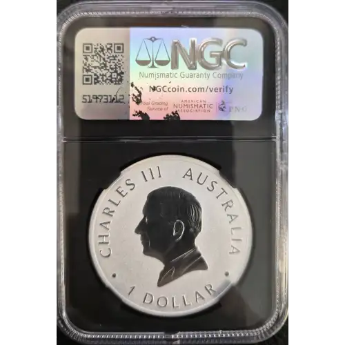 2024 P125 Koala (2)