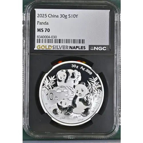 2025 China 30g - S10Y Panda - NGC MS70 (S12B-B2)