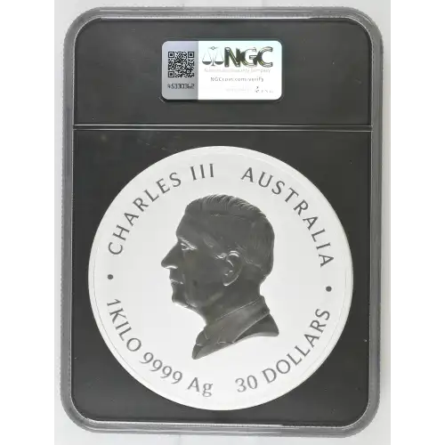 2025P 1Kilo Australia S$30 Year of the Snake MS70 (D-7) (2)