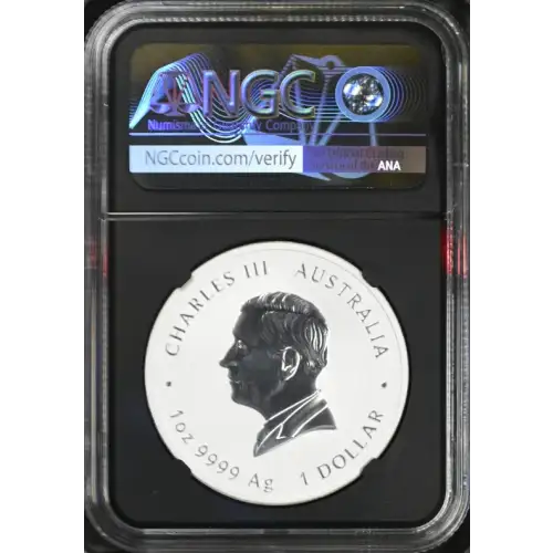 2025P 1oz Australia S$1 Year of the Snake MS70 (S19A - B14) (4)