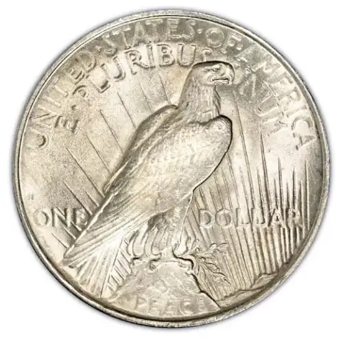 90% Silver Dollar peace (2)