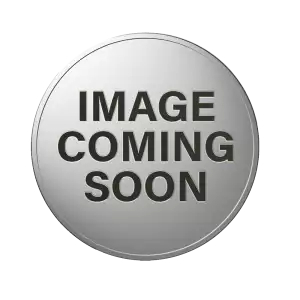 2002 1oz American Silver Eagle