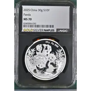 2025 China 30g - S10Y Panda - NGC MS70 (S12B-B2)