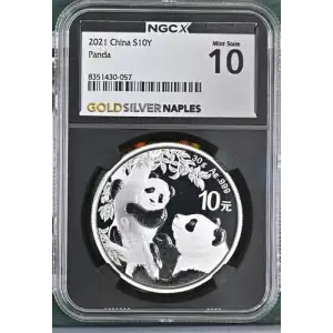 2021 China S10Y Panda MS10 (S20B-B13)