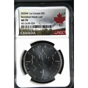 2020(W) 1oz Canada S$5 Burnished Maple Leaf MS70 (S20B - B19)