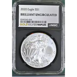 2020 - 1oz Silver Eagle S$1 NGC BRILLIANT UNCIRCULATED (D10-B34) (3)