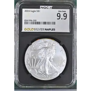 2024 - 1oz Silver Eagle - NGC MS 9.9 (D10-B1)