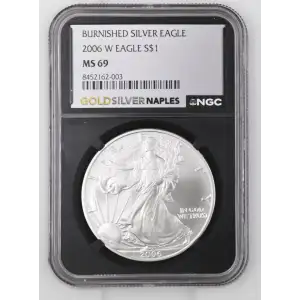 2006 W BURNISHED SILVER EAGLE (2)