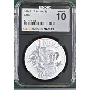 2024 P125 Koala (2)