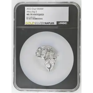 2022 Chad S5000f Africa Big 5 MS70 Antiqued (OB-126)