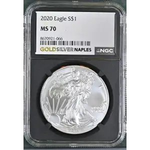 2020 - 1oz Silver Eagle S$1 NGC MS70 (D11-B3)