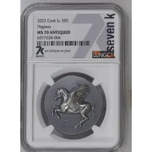 2022 Pegasos (2)