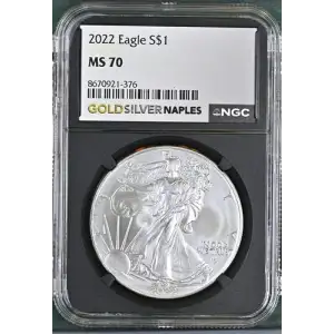 2022 - 1oz Silver Eagle - S$1 NGC MS70 (D10-B37)