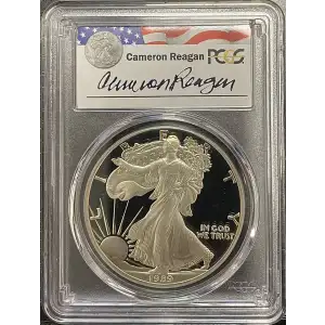 1989(S) - 1oz Silver Eagle Reagan Legacy Series - S$1 PCGS PR69DCAM (D11-B14)