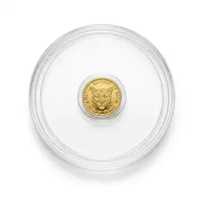1/500th Gold Custom Panther (2)