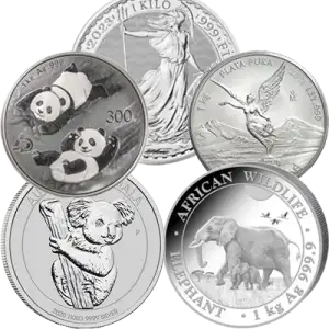 1kg Generic Silver Round (2)