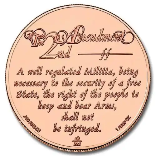 Tube of 20x 1 oz Copper 2nd Amendment We the People (2)